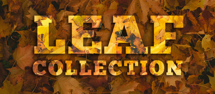 Leaf Waste Collection