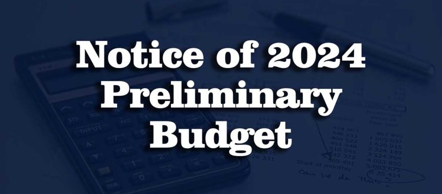 Preliminary Budget
