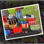 SHACC events